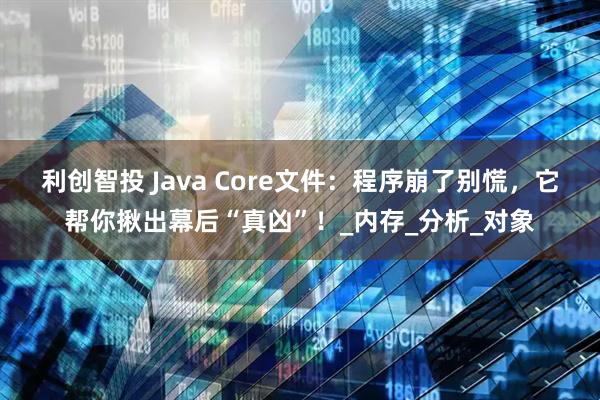 利创智投 Java Core文件：程序崩了别慌，它帮你揪出幕后“真凶”！_内存_分析_对象