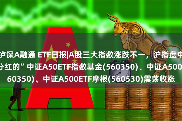 泸深A融通 ETF日报|A股三大指数涨跌不一，沪指盘中再创年内新高，“会分红的”中证A50ETF指数基金(560350)、中证A500ETF摩根(560530)震荡收涨