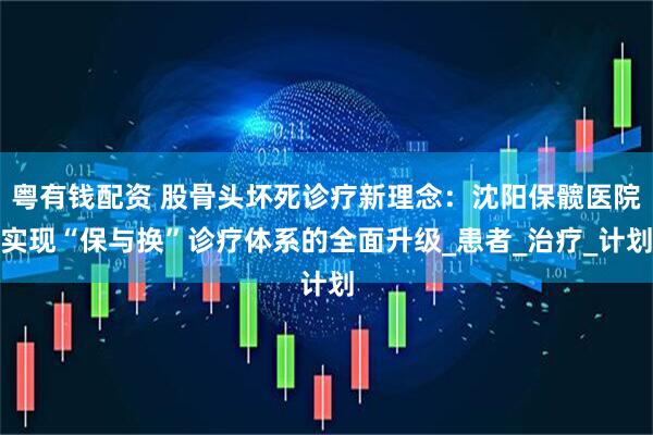 粤有钱配资 股骨头坏死诊疗新理念：沈阳保髋医院实现“保与换”诊疗体系的全面升级_患者_治疗_计划